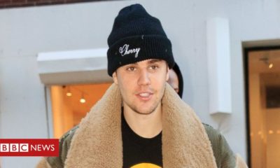 Kittens Justin Bieber safeguards purchasing designer kittycats