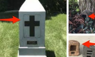 New tech gadgets gizmos hi tech A monitoring business is quietly offering authorities hidden electronic cameras and listening gadgets camouflaged as rocks, trees, and tombstones– and it’s threatening to take legal action against reporters who report on its existence