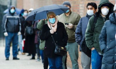 Gardening United States coronavirus death toll passes 50,000