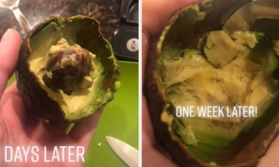 Recipes Somebody On TikTok Shared A New Avocado Hack For Keeping Them Fresh For Longer And It’s Genius
