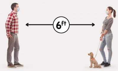 Dogs puppies baby dogs baby puppies FDA cautions animal owners about infecting their family pets in brand-new video