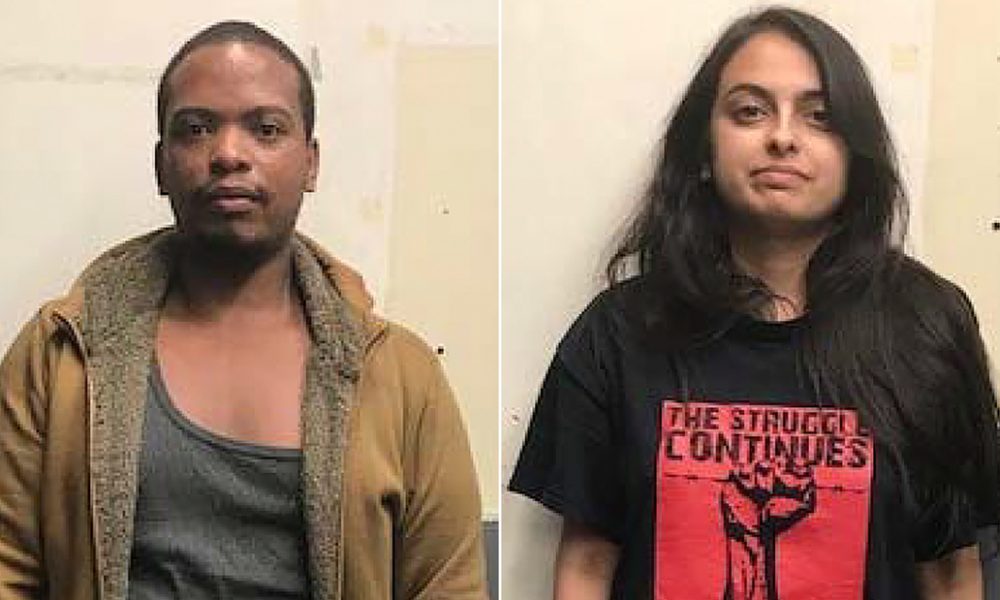 Dogs puppies baby dogs baby puppies How two promising lawyers discovered themselves facing life in prison for alleged Bomb attack during protests in NY
