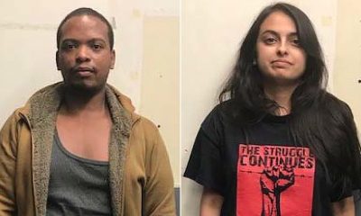 Dogs puppies baby dogs baby puppies How two promising lawyers discovered themselves facing life in prison for alleged Bomb attack during protests in NY